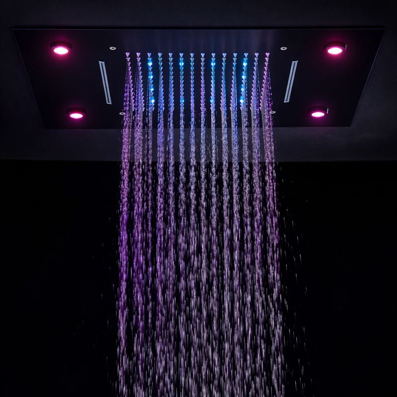 Tête de douche Axiom