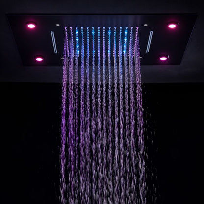 Tête de douche Axiom